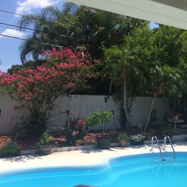 Foto del edificio - 1831 Kay Dr