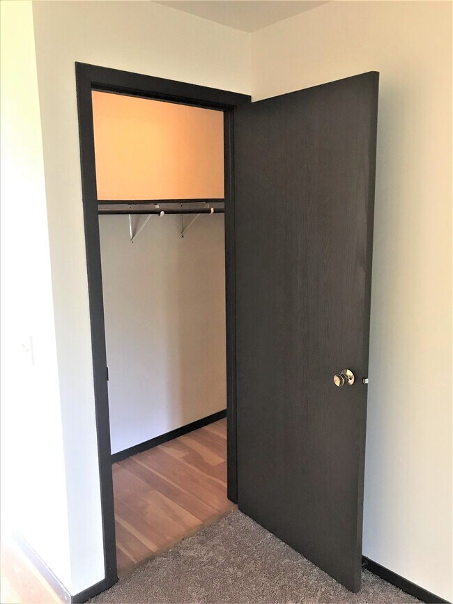 Large Entry Closet - 2373 Chalet Gardens Ct