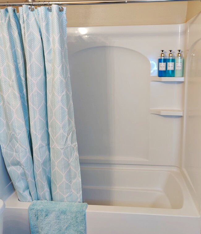 Main Bathroom - 6105 Venecia Dr