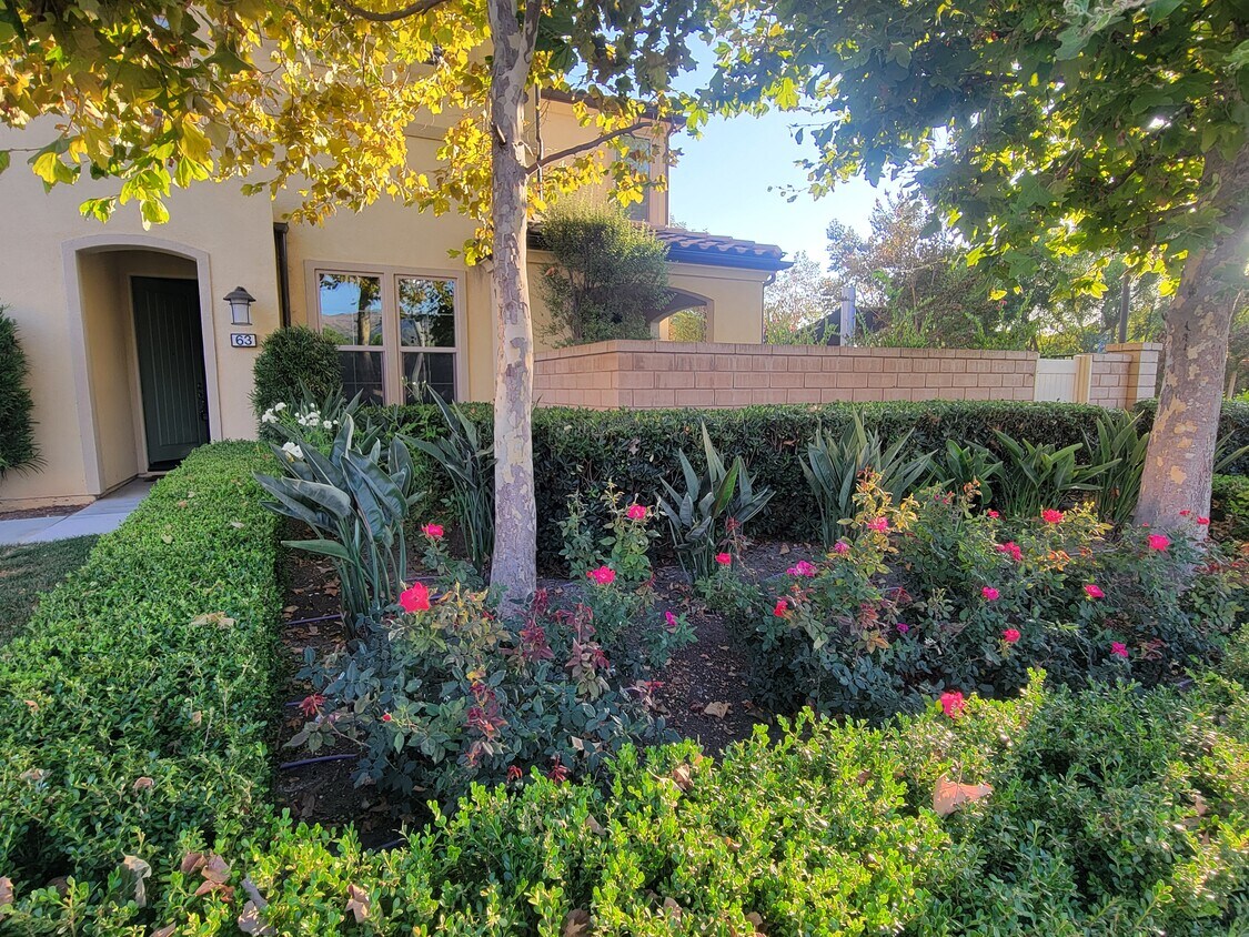 Entrada principal - 63 Finch