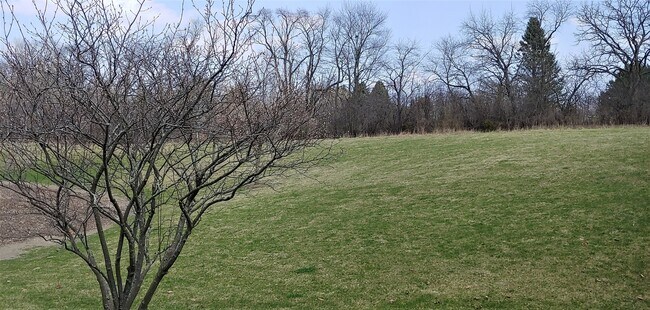 Building Photo - 108 Terra Vista Ct