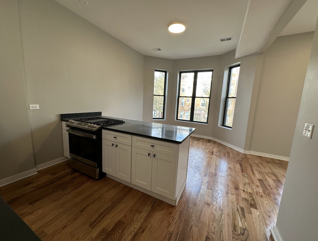 Open Living Room/Kitchen - 3513 N Sheffield Ave