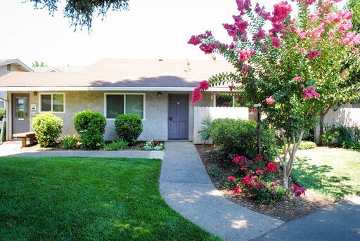 Mature landscape - 452 Posada Way