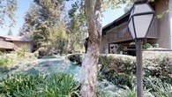 This inviting single-floor property is distinguished by its exceptionally rich and tranquil natural surroundings. The exterior is framed by towering mature trees that provide generous shade and a sense of seclusion, while well-manicured hedges and dense ground cover create a layered, garden-like atmosphere. A picturesque pond with calm, blue-green water adds a striking natural focal point, reflecting the canopy of trees above and lending a peaceful, resort-like quality to the setting. Ivy climbs gracefully along the building's exterior walls, softening the structure's wood-and-trim façade and enhancing its organic character. A well-maintained concrete walkway winds through the lush landscaping, guiding visitors through the verdant grounds with ease. The building itself features a warm, rustic architectural style with wood siding, decorative trim, and an upper-level balcony adorned with potted flowering plants, adding a welcoming residential touch. Dappled sunlight filters through the tree canopy, casting gentle shadows across the pathways and garden beds throughout the day. The overall ambiance is one of serene natural beauty, offering a rare sense of tranquility and connection to the outdoors.