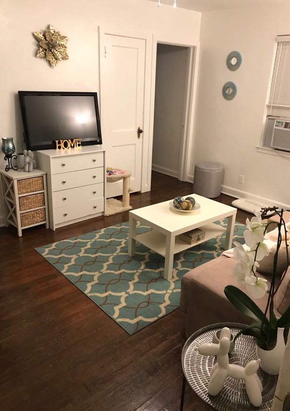 Living Room - 619 Biscayne Dr