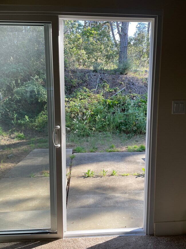 View from living room - 863 Wallen St