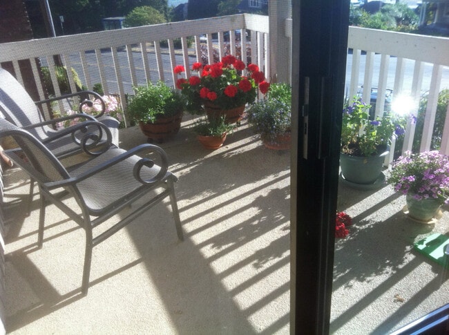 View deck - 1408 10th Ave W