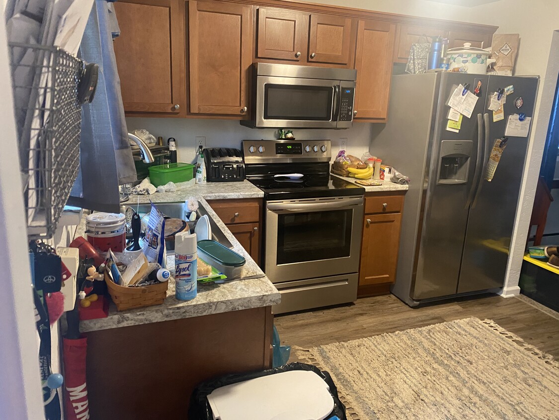 Newly remodeled kitchen - 119 Lehigh St