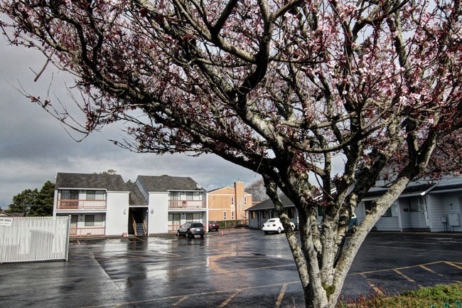 Building Photo - 400 Necanicum