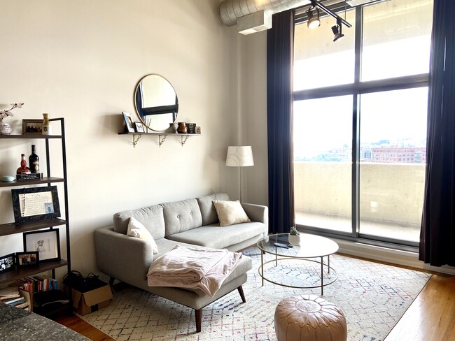 Living Room - 900 N Kingsbury St