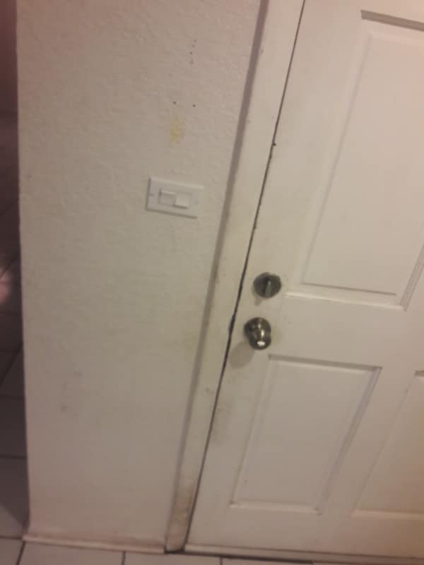 Photo - 1152 17th Ave N Apartment