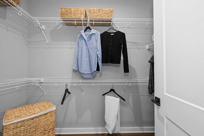 Foto del edificio - The Rowe at Commonwealth