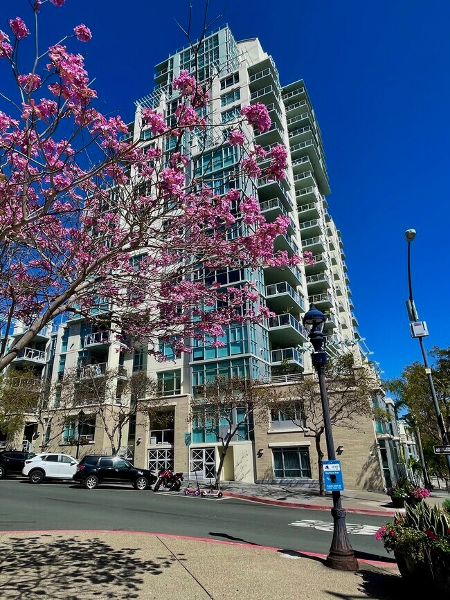 Building Photo - 850 Beech St