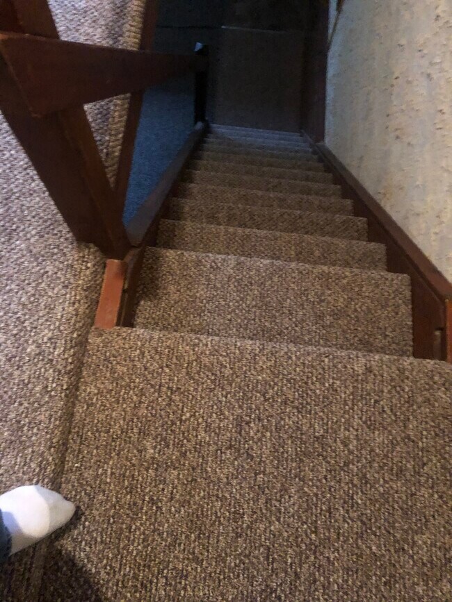 New carpeting on the steps - 3285 McClure Hollow Rd