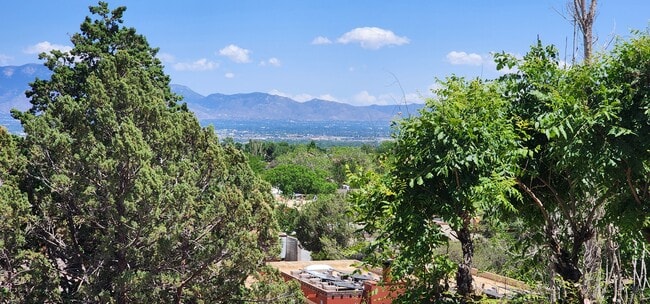 View from Living Room - 7320 Carson Trl NW