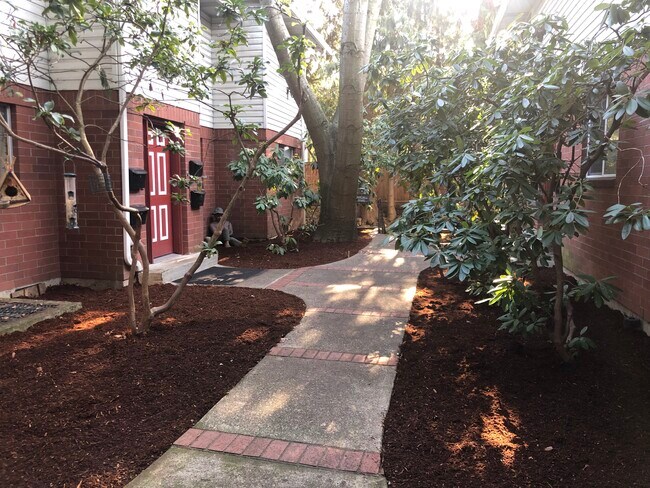 Courtyard - 49 SE 60th Ave