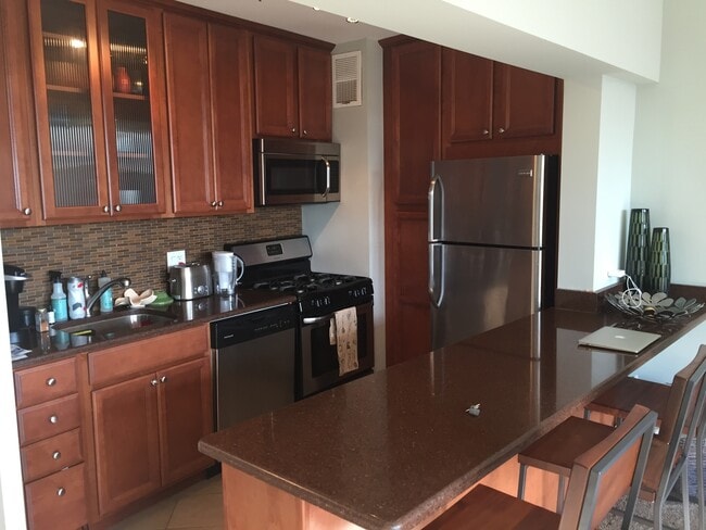 Foto del edificio - 1150 N Lake Shore Dr