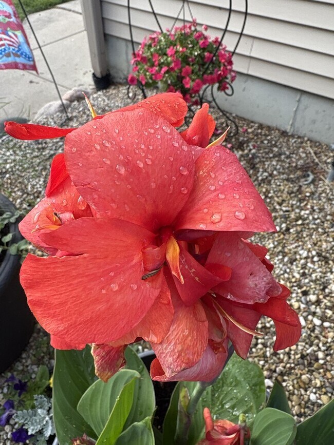 Building Photo - 23231 W Lakeshore Dr