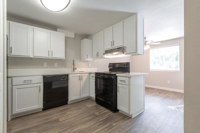 Building Photo - Spacious Newly Renovated Two Bedroom One Bath! $1000 Off Your First Full Month!