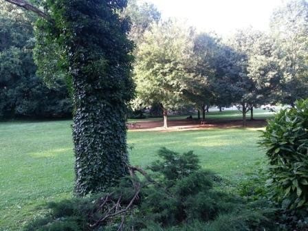 Park from patio gate - 1937 38th St NW