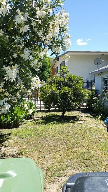 Jardín delantero - 14156 Calvert St