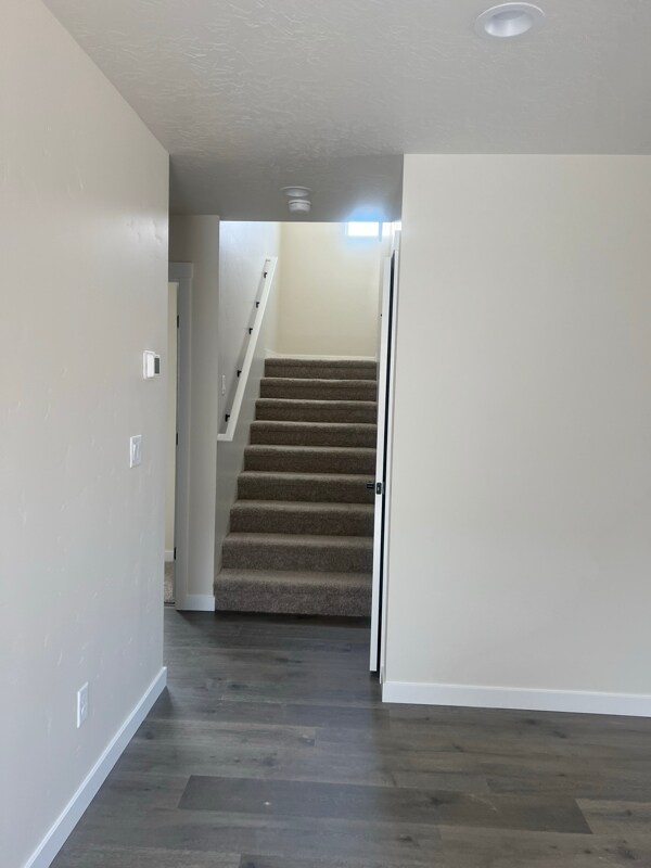 Foto del edificio - 10114 Longtail Dr