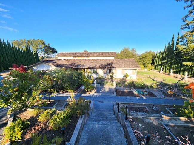 Foto del edificio - Spacious Atherton Home with Pool & Stunning Views