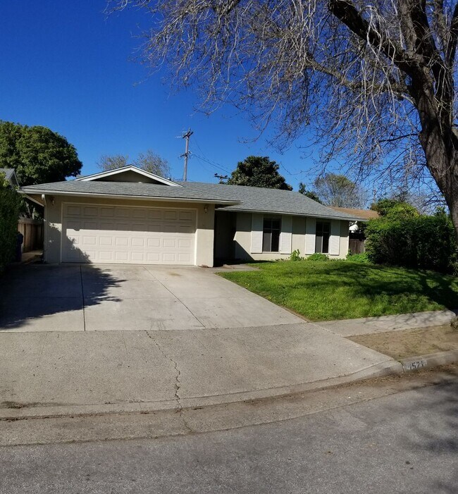 Foto del edificio - 4 bed 2 bath spacious home with 2 car garage in SLO!