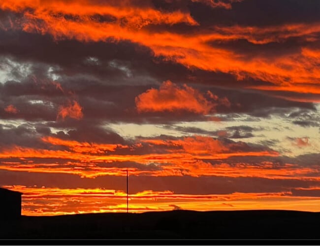 Foto del edificio - 1545 Capri Ct