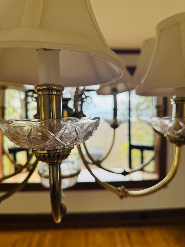 Foto del edificio - 1/2 MONTH FREE RENT!!! SPACIOUS 2-STORY FL...