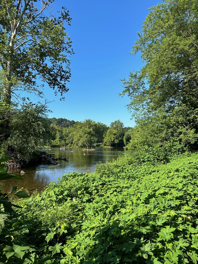 C&O canal walkways - 6408 83rd St