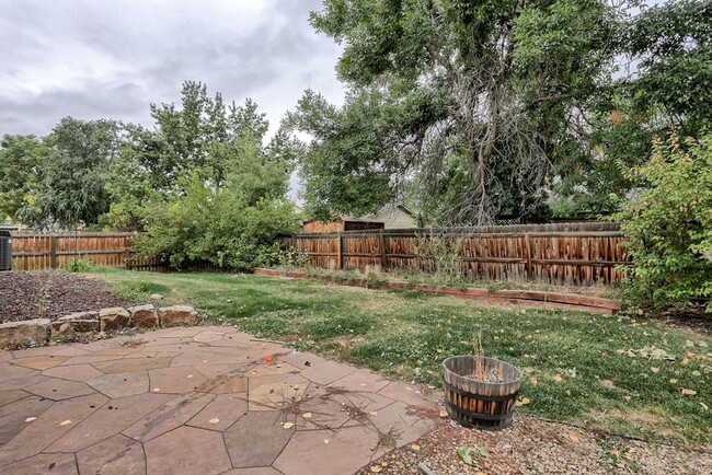 Building Photo - 4 Bedroom home in Fort Collins