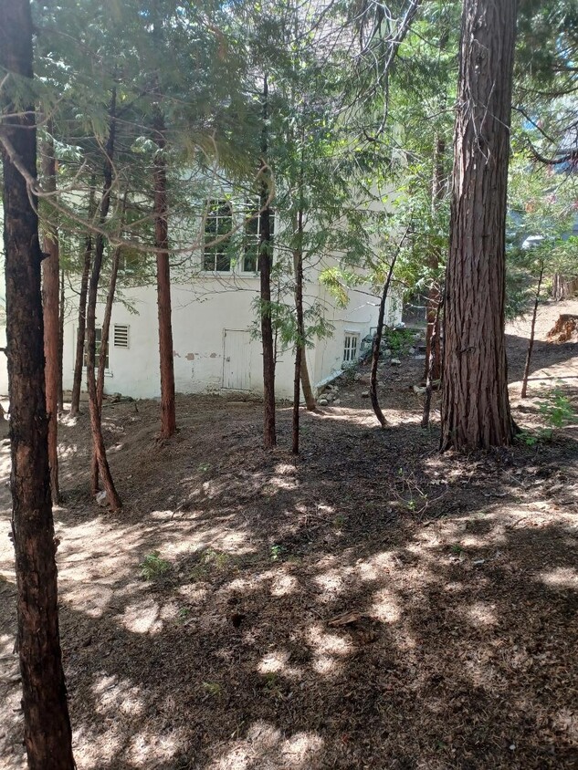 Primary Photo - 256 CA-173