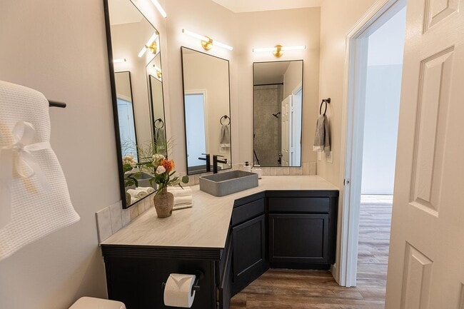Master Bathroom vanity - 14301 Rosy Ln