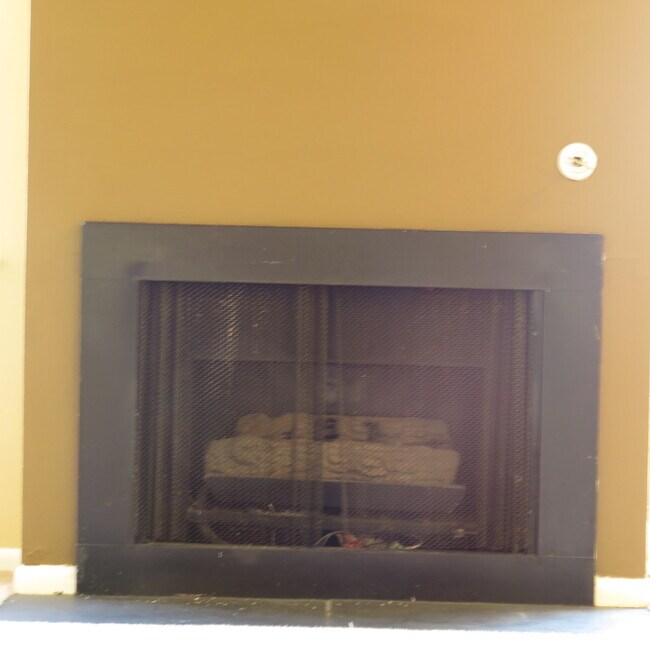 Foto del edificio - 325 SPRING LAKE Ln