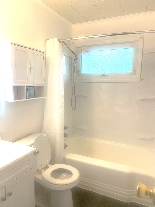 Bathroom (Pic1) - 99 Seymour St