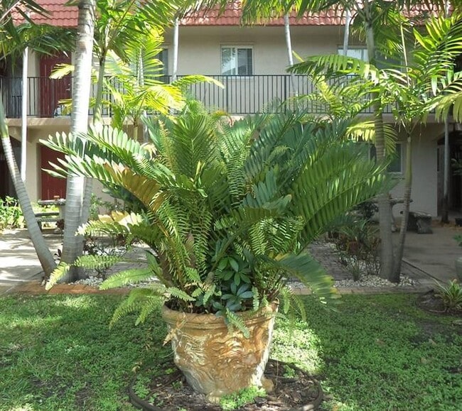 Foto del edificio - 3050 NE 5th Terrace