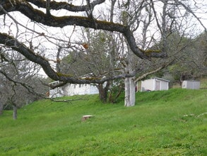 Building Photo - 2069 Upper Applegate Rd