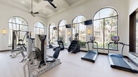 Located at 8181 El Mundo St in Houston, TX, this fitness center offers a thoughtfully designed workout space that combines elegant architectural details with a full suite of professional-grade equipment. The single-floor facility is defined by its soaring ceilings, coffered ceiling panels, and large arched windows that line the walls, flooding the interior with abundant natural light and offering pleasant views of the lush, palm-lined outdoor surroundings.

The gym is outfitted with a wide range of Hoist-brand strength machines, including a leg press, cable systems, a Smith machine with an adjustable bench, and additional selectorized equipment. Cardio options are equally comprehensive, featuring treadmills, stair climbers, ellipticals, and a stationary bike. Ceiling fans throughout promote airflow and comfort during workouts. Wall-mounted flat-screen TVs provide entertainment, while wall sconces add a warm, polished ambiance to the space.

A dedicated free weights and functional training area includes a medicine ball rack and benches, catering to a variety of training styles. The neutral-toned carpet flooring, crisp white walls, and open floor plan create a clean, welcoming environment. The overall atmosphere is bright, airy, and well-appointed, making this fitness center a standout amenity.