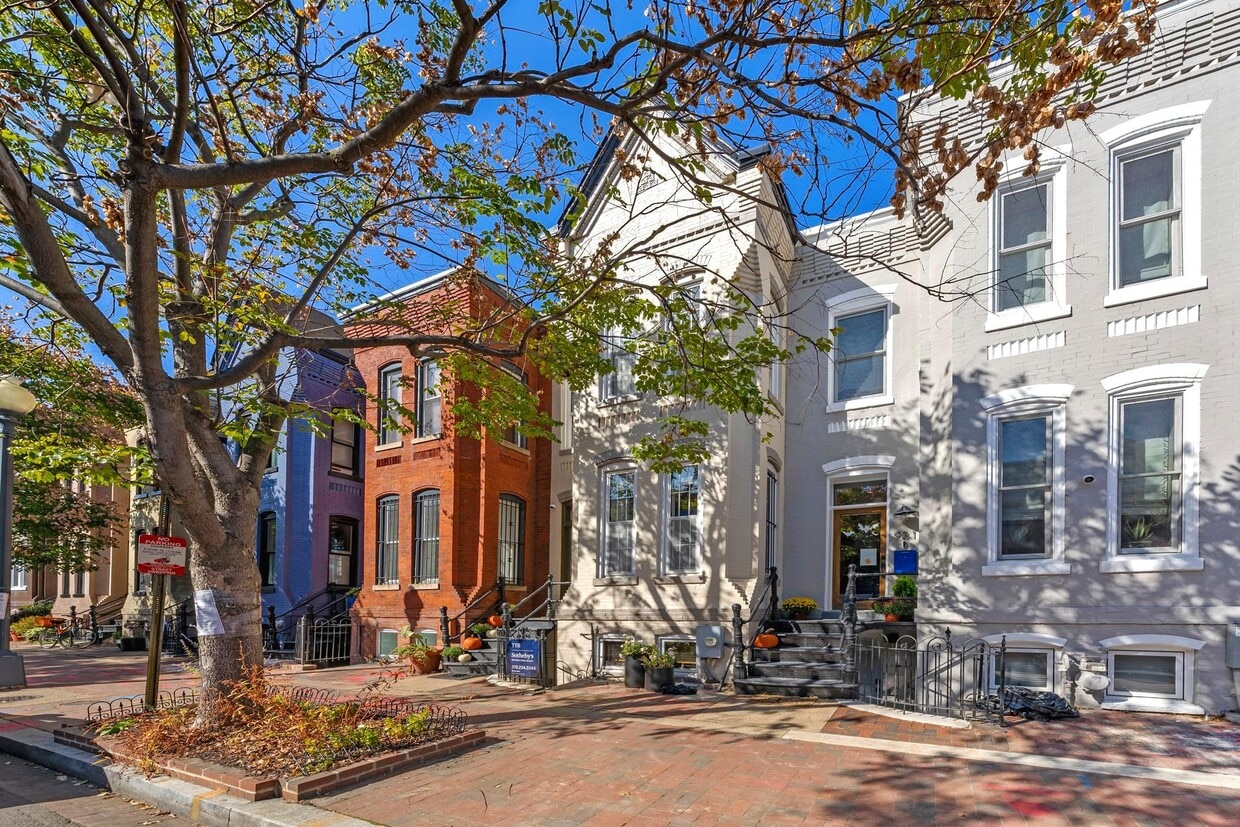 Primary Photo - 923 French St NW