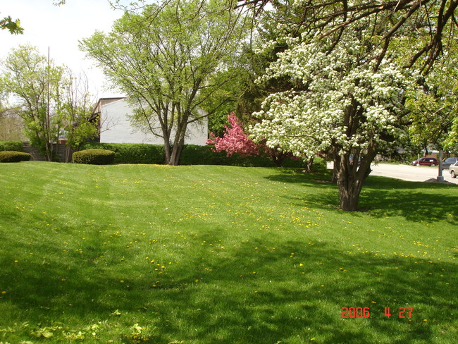 Expansive front grounds - 1781 Rand Rd