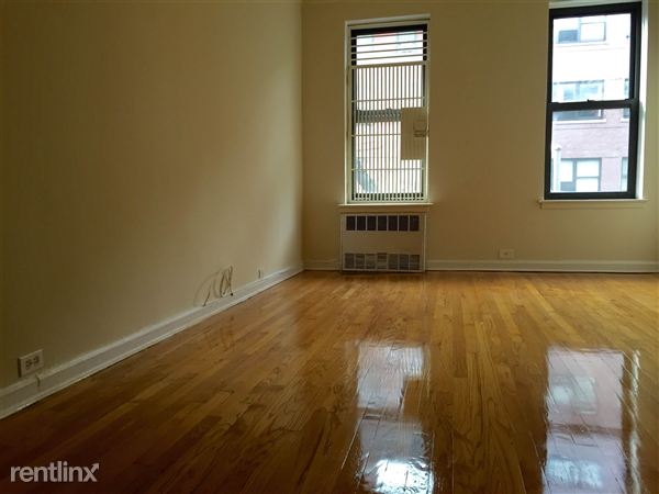 Primary Photo - 439 E 76th St
