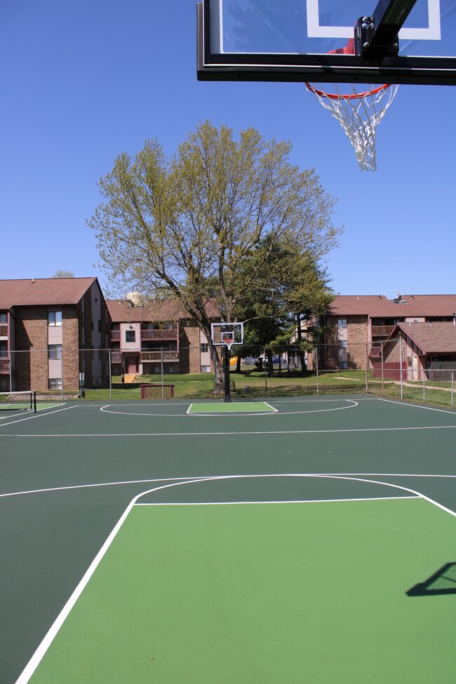 Cancha de pickleball y baloncesto - Briarwood Village