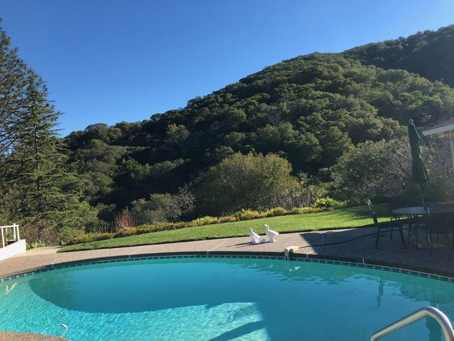 Building Photo - 15 Thunderbird Dr