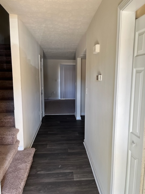 Building Photo - 240 Scandia Cir
