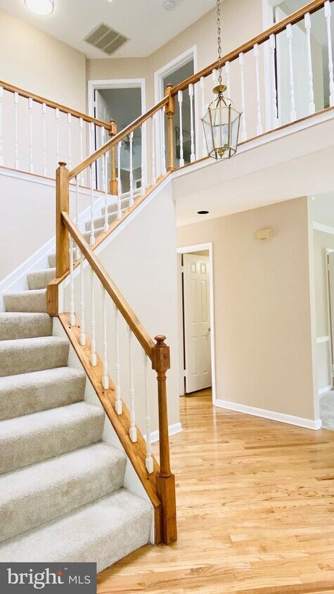 Foto principal - 2909 Memory Ln