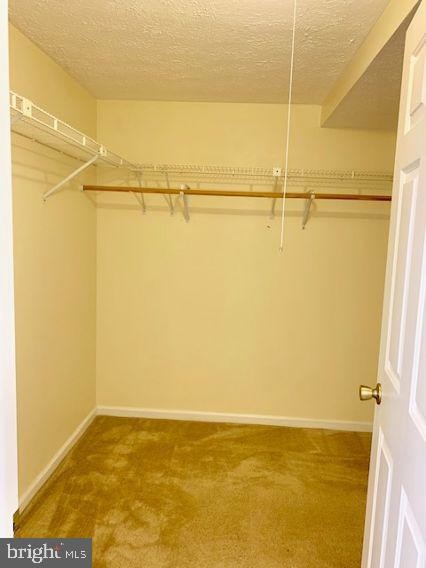 Building Photo - 3502 Kingsley Ct