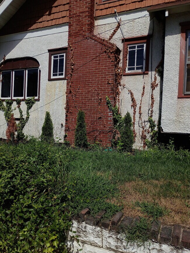 Building Photo - 144 Fern Ave