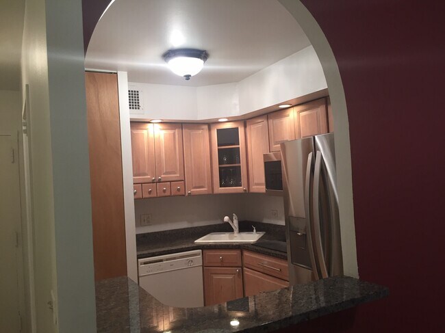 Kitchen - 1455 N Sandburg Ter