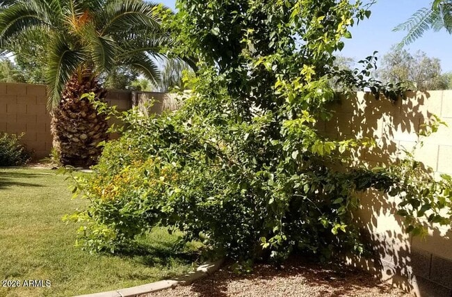 Building Photo - 2302 E Winged Foot Dr